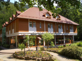  Kurpark Flair Hotel Im Ilsetal  Ильзенбург 